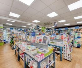 Librairie Les Petits Mots image 17