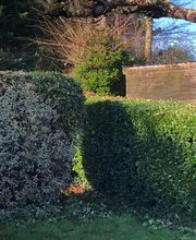 SEB29 PAYSAGE image 2