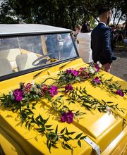 Nature Enchantée image 10