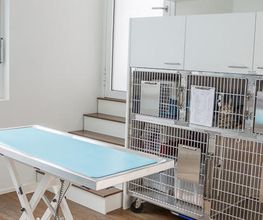 Kleintierpraxis Drei Höfe Bild 4