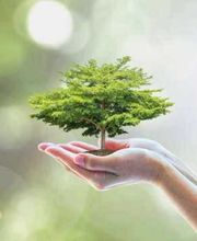 Des Mains En Orbiel image 1