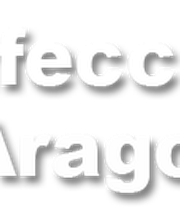 logo_desinfeccionesaltoaragonesa.png