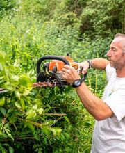Sylvain Environnement 2 image 10