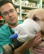 Clínica Veterinaria Villaluenga imagen 2