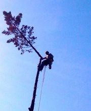 Accès Cimes image 5