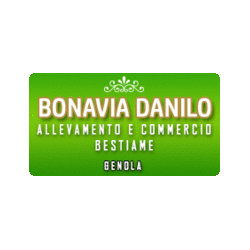 Bonavia Danilo logo