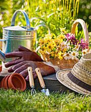 DOC Reinigungen GmbH Bild 3