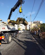 Beaudout Raphael image 8