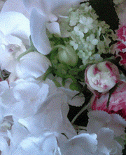 Maison NECTOUX Fleurs et nature image 2