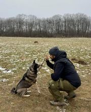 Hundeschule München-Nord