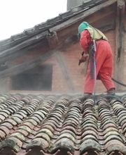 Alonso Ludovic image 2