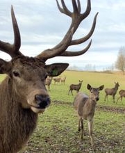 Sonnenlandpark Lichtenau Bild 6