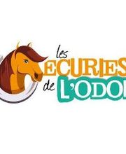 Les Ecuries De L Odon image 1