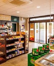Shell Bild 11