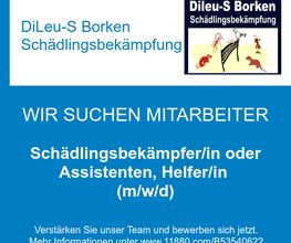 Schädlingsbekämpfer/in oder Assistenten, Helfer/in (m/w/d)