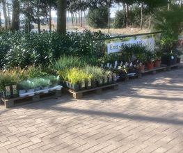 Ems-Garten Bild 1