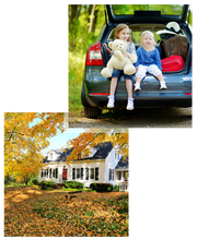 Hollis Insurance Agency image 3