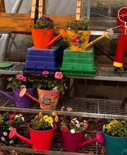 Toboggan Run Dental image 6