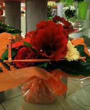 Aux Fleurs de l'Aulne image 5