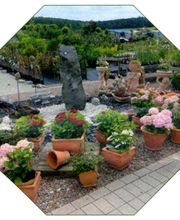 Gartenwelt Kröner Bild 4