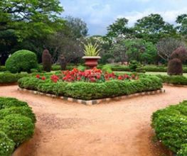 Rouyer Services Jardinages EURL image 1