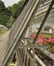 Blumen Peeters Bild 3