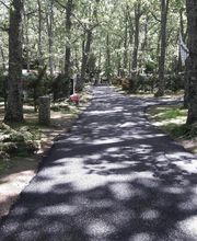 Excavaciones DGP imagen 6