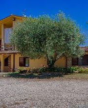 Agriturismo la Mora - Agriturismo Assisi immagine 4