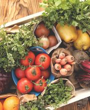 SAS Boxf@rmer à Castelnaudary image 3