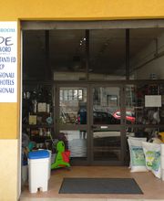 Gallery Cliente