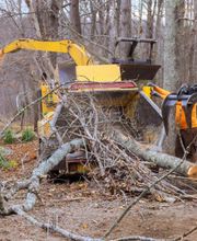 Jerry Cheshire Land Clearing image 4