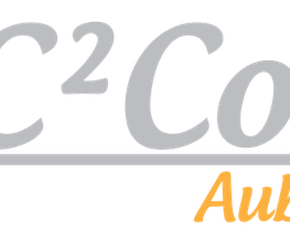 C2color image 5
