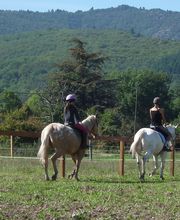 Cheval Vert image 2