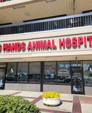 Caring Hands Animal Hospital - Rockville image 5