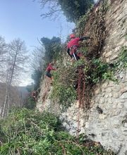 Passion Forêt SA Bild 9