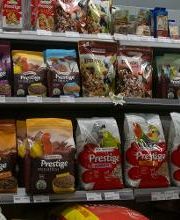 Habekost Heimtiermarkt Bild 1