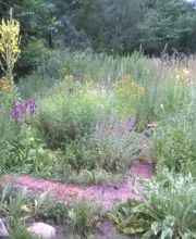 Hildegard von Bingen Berlin Daniela Dumann Heilpraktikerin Bild 6