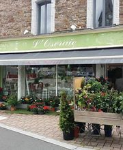 Gorieu Viviane image 1