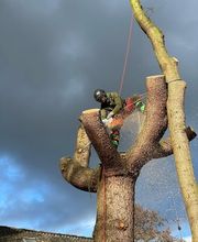 Alles-Im-Seil Bild 2