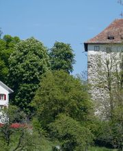 Gasthaus Schlosshalde Bild 2