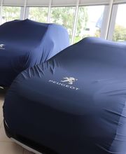 Peugeot GEMY Dinan image 4