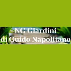 NG Giardini logo