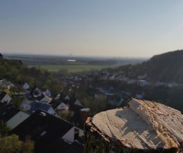 Baumdienste mit Seiltechnik Purretat Bild 10