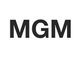 Mgm image 2