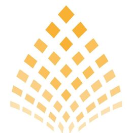Oberflächen-Team