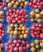 Azienda Ortofrutticola Taiana sagl Bild 1