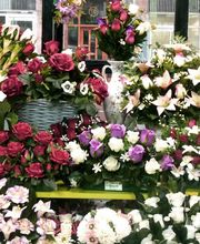 Floristería Manuela imagen 17