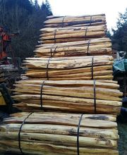 Montavon Francis et Fils SA Bild 14