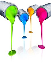 Robert Steve image 3