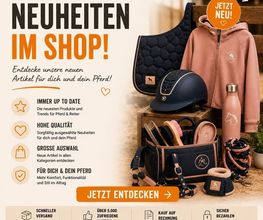 Pferdchen24 Bild 5